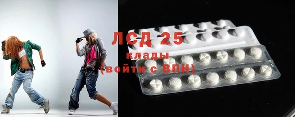ПСИЛОЦИБИНОВЫЕ ГРИБЫ Баксан