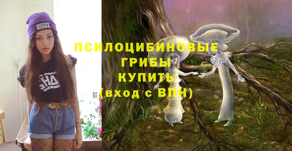 дживик Балахна