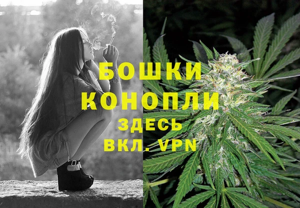 spice Балабаново