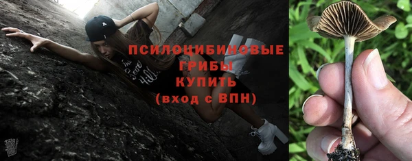 дурь Белоозёрский